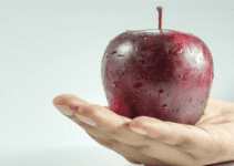 3 Dietas Para Emagrecer Rápido e Com Saúde Sem Fazer Academia